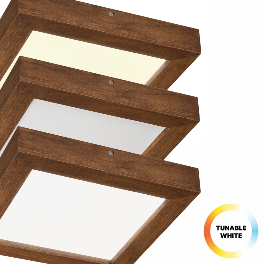 Brilagi - LED Димируем плафон за баня WOODY FRAME LED/24W/230V дъб череша 30x30 см 3000-6000K IP44 + дистанционно управление