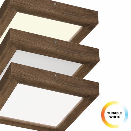 Brilagi - LED Димируем плафон за баня WOODY FRAME LED/24W/230V дъб 30x30 см 3000-6000K IP44 + дистанционно управление