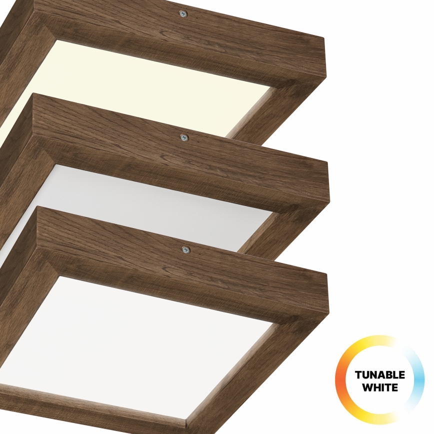 Brilagi - LED Димируем плафон за баня WOODY FRAME LED/24W/230V дъб 30x30 см 3000-6000K IP44 + дистанционно управление