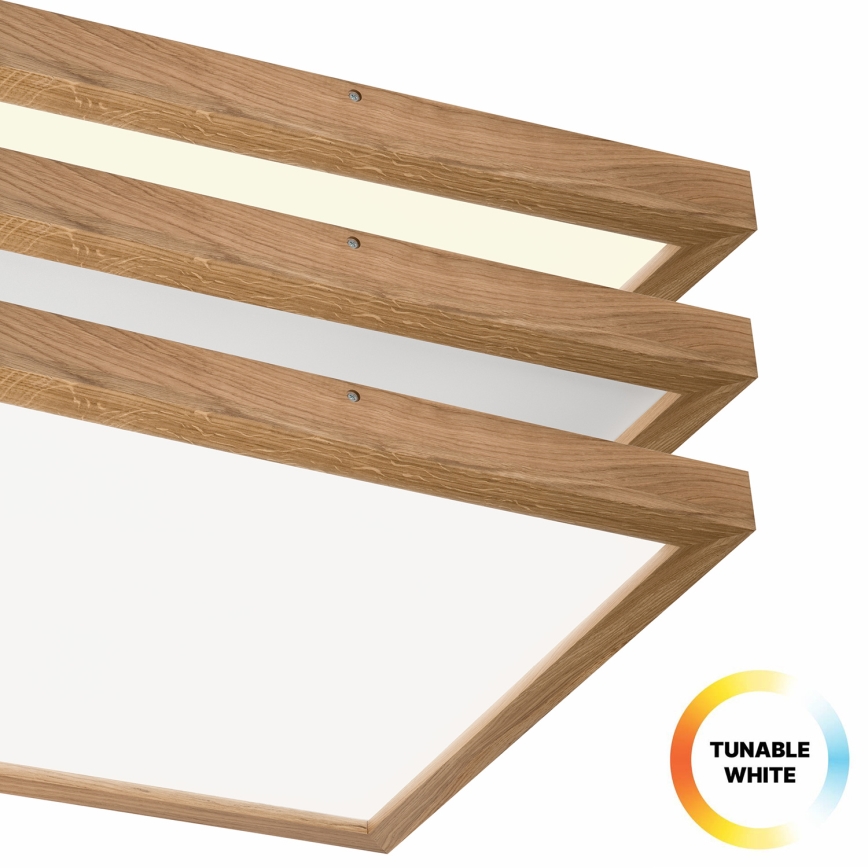 Brilagi - LED Димируем плафон за баня WOODY FRAME LED/50W/230V дъб 60x60 см 3000-6000K IP44 + дистанционно управление