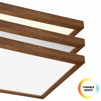 Brilagi - LED Димируем плафон за баня WOODY FRAME LED/50W/230V дъб череша 60x60 см 3000-6000K IP44 + дистанционно управление