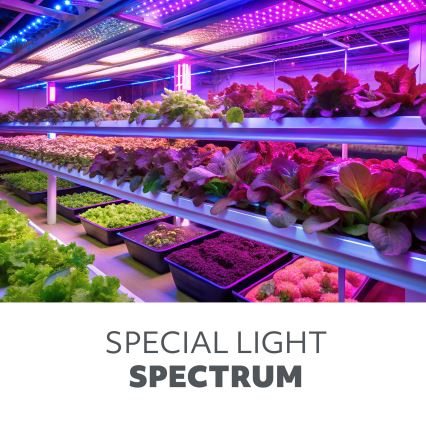 Brilagi - LED Димируем гъвкав настолна лампа за отглеждане на растения VITABLOOM 3xLED/10W/230V черен