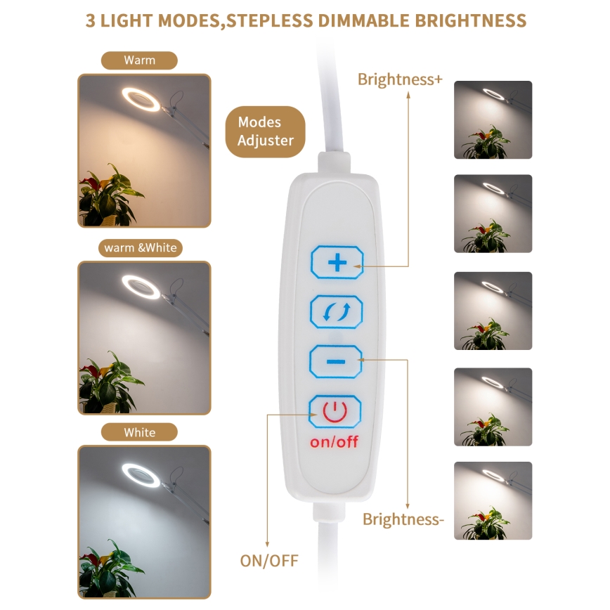 Brilagi - LED Димируема настолна лампа с лупа LENS LED/12W/5V 3000/4200/6000K бял