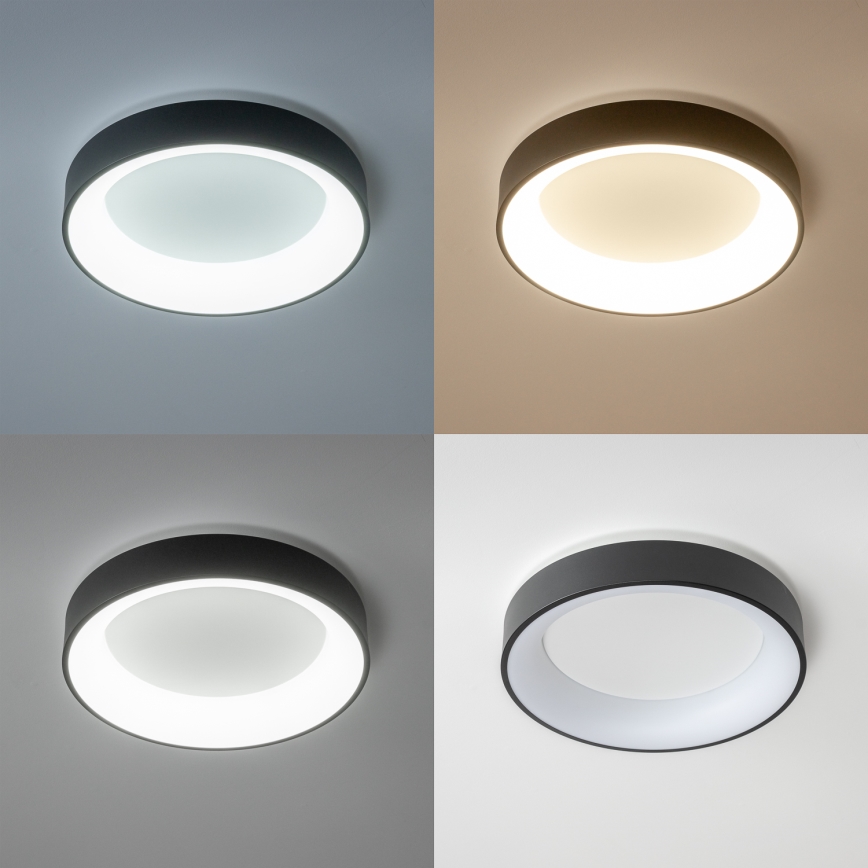 Brilagi - Димируемо LED таванно осветително тяло FALCON LED/80W/230V 3000-6500K, диаметър 60 см, черно + дистанционно управление