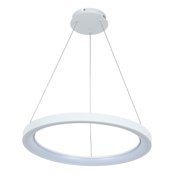 Brilagi - LED димируема висяща лампа на кабел FALCON SLIM LED/42W/230V 3000-6500K Ø 50 cm бяла + дистанционно управление