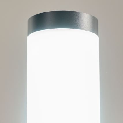 BRILAGI - LED димируема външна лампа ELIA 1xE27/6W/230V 2700-6500K IP44 Wi-Fi 100 cm антрацит