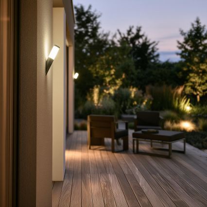 BRILAGI - LED димируема външна стенна лампа ELIA 1xE27/6W/230V 2700-6500K IP44 Wi-Fi антрацит