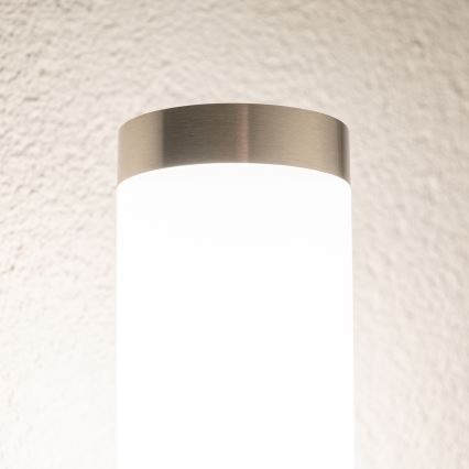 BRILAGI - LED димируема външна стенна лампа ELIA 1xE27/6W/230V 2700-6500K IP44 Wi-Fi матов хром