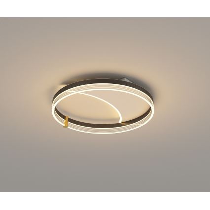 Brilagi - Димируемо LED таванно осветително тяло SIRELI LED/47W/230V 3000-6000K Ø 40 см + дистанционно управление