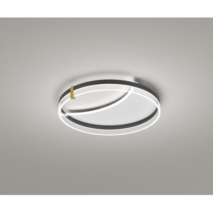 Brilagi - Димируемо LED таванно осветително тяло SIRELI LED/47W/230V 3000-6000K Ø 40 см + дистанционно управление