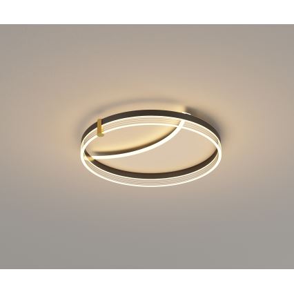 Brilagi - Димируемо LED таванно осветително тяло SIRELI LED/47W/230V 3000-6000K Ø 40 см + дистанционно управление