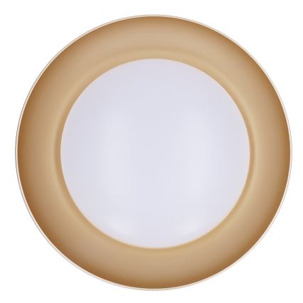 Brilagi - Димируемо LED таванно осветително тяло ALVA LED/48W/230V 3000-6500K Ø 51 см черно + дистанционно управление