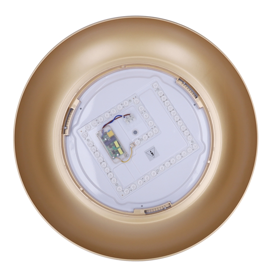 Brilagi - Димируемо LED таванно осветително тяло ALVA LED/48W/230V 3000-6500K Ø 51 см черно + дистанционно управление