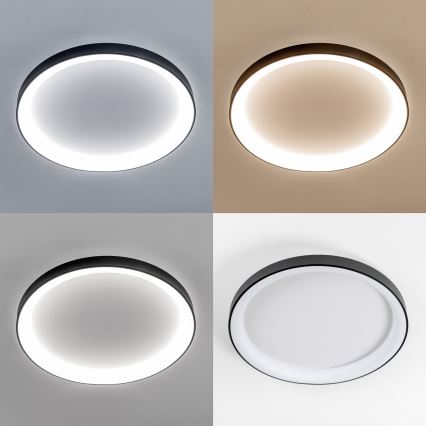 Brilagi - Димируемо LED таванно осветително тяло FALCON II LED/108W/230V 3000-6500K пр. 80 см черно + дистанционно управление