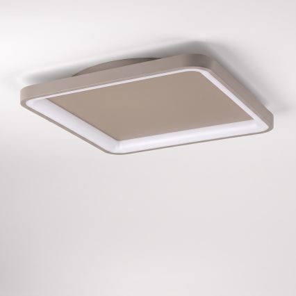 BRILAGI - LED димируемо таванно осветително тяло FALCON SLIM LED/50W/230V 3000-6500K 50x50 cm бежово + с дистанционно управление