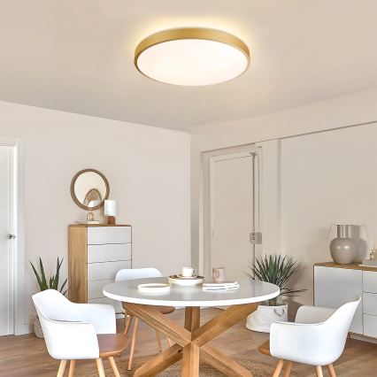 Brilagi - LED димируемо таванно осветително тяло GLASS POOL DOUBLE LED/60W/230V 3000-6000K 50 см златисто + дистанционно управление