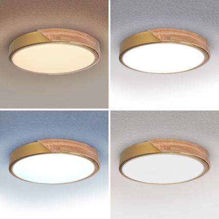 BRILAGI - LED димируемо таванно осветително тяло PILANA LED/48W/230V 3000-6500K дъб/злато Ø 40 см + дистанционно управление