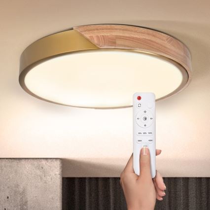 BRILAGI - LED димируемо таванно осветително тяло PILANA LED/48W/230V 3000-6500K дъб/злато Ø 40 см + дистанционно управление