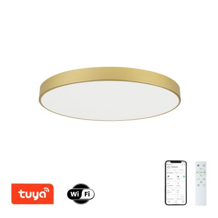 Brilagi - Димируемо LED таванно осветително тяло POOL SMART LED/100W/230V 3000-6000K 80 cm златисто Wi-Fi Tuya + дистанционно управление