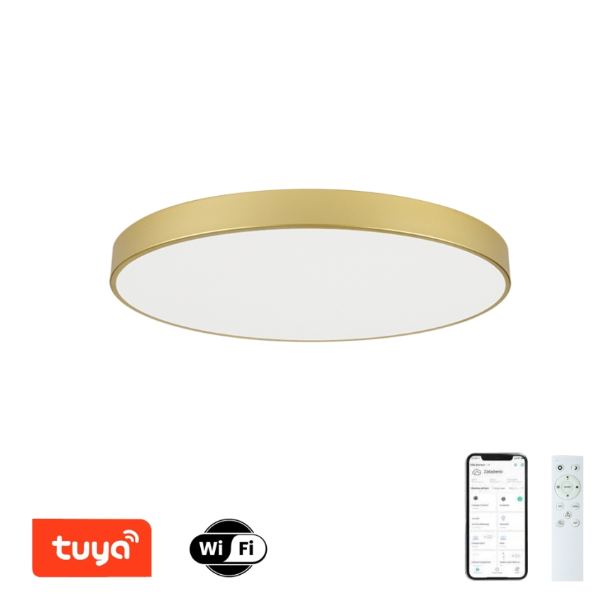 Brilagi - Димируемо LED таванно осветително тяло POOL SMART LED/100W/230V 3000-6000K 80 cm златисто Wi-Fi Tuya + дистанционно управление