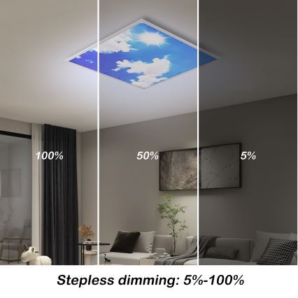 Brilagi - димируемо LED таванно осветително тяло SLIMFRAME SKY LED/58W/230V 60x60 cm 3000-6000K сребристо/синьо + дистанционно управление