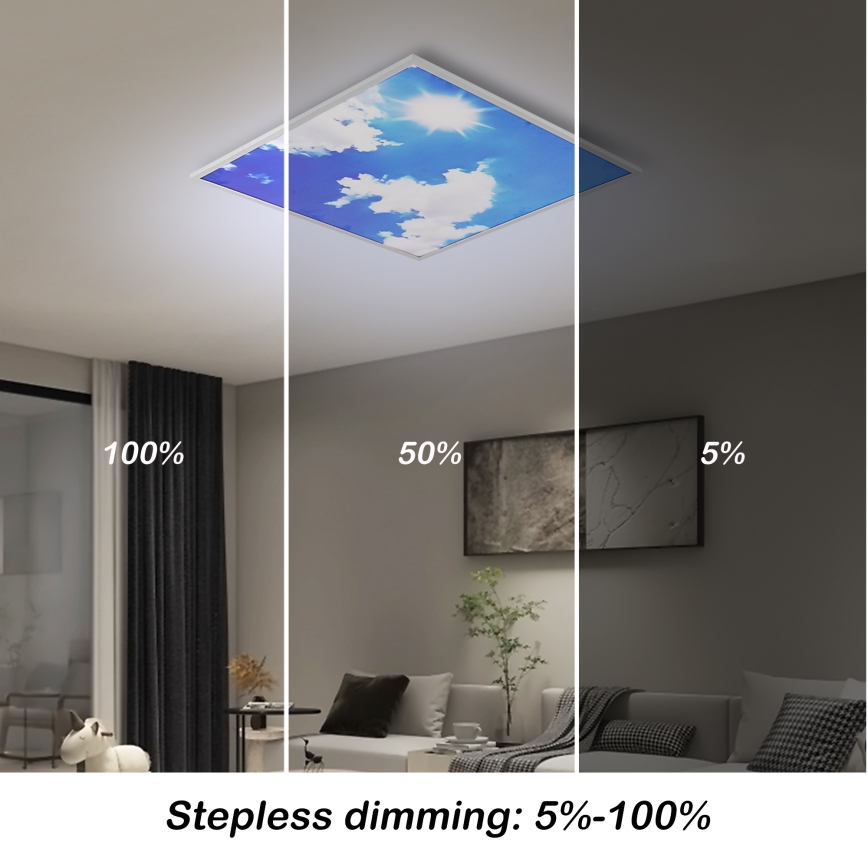 Brilagi - LED Димируемо таванно осветително тяло SLIMFRAME SKY LED/58W/230V 60x60 cm 3000-6000K сребристо/синьо + дистанционно управление