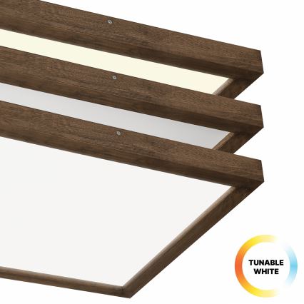 BRILAGI - LED Димируема таванна лампа за баня WOODY FRAME LED/50W/230V цвят дъб/орех 60x60 cm 3000-6000K IP44 + дистанционно управление