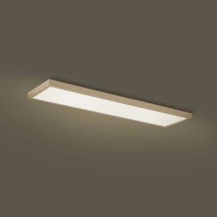 Brilagi - Светодиодно (LED) димируемо таванно осветително тяло за баня FRAME SMART LED/50W/230V 120x30 cm 3000-6000K IP44 бежово + дистанционно управление