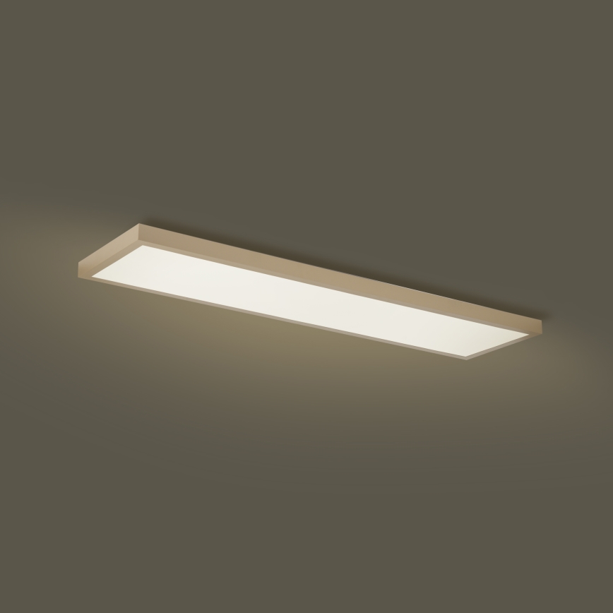 Brilagi - Светодиодно (LED) димируемо таванно осветително тяло за баня FRAME SMART LED/50W/230V 120x30 cm 3000-6000K IP44 бежово + дистанционно управление