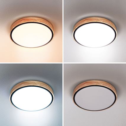 Brilagi - Димируемо LED таванно осветително тяло GLORIA LED/48W/230V 3000-6500K дъб диам. 40 см + дистанционно управление