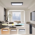 Brilagi - LED Димируемo Стенно осветление FRAME SMART LED/30W/230V 30x60 см 3000-6000K IP44 Черно + Дистанционно