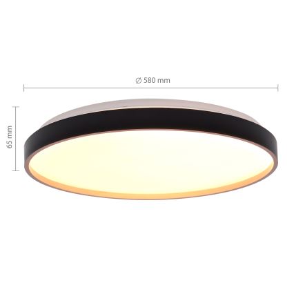 Brilagi - LED димируемо таванно осветително тяло CALA LED/60W/230V 3000-6500K pr. 58 cm + дистанционно управление