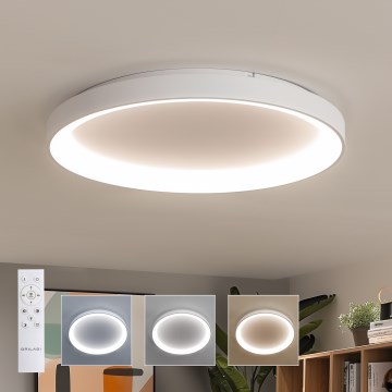 Brilagi - LED димируемо таванно осветително тяло FALCON II LED/108W/230V 3000-6500K Ø 80 см бяло + дистанционно управление