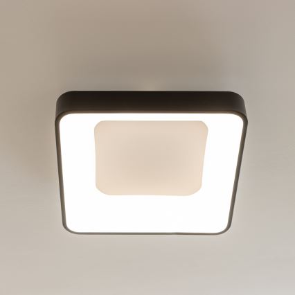 Brilagi - Димируемо LED таванно осветително тяло FALCON II LED/80W/230V 3000–6500K 40x40 см черно + дистанционно управление