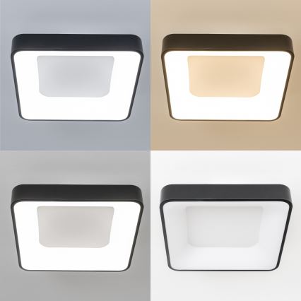 Brilagi - Димируемо LED таванно осветително тяло FALCON II LED/80W/230V 3000–6500K 40x40 см черно + дистанционно управление