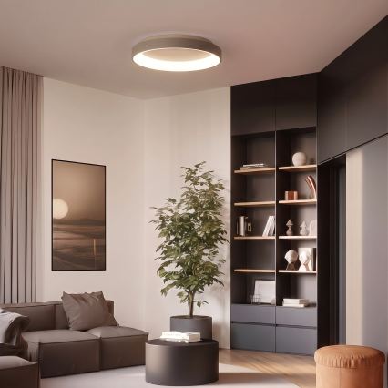 BRILAGI - димируемо LED таванно осветително тяло FALCON II LED/99W/230V 3000-6500K Ø 60 см бял/бежов + дистанционно управление