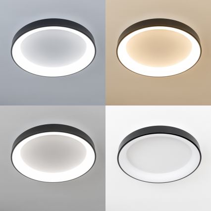 Brilagi - LED димируемо таванно осветително тяло FALCON II LED/99W/230V 3000-6500K Ø 60 см черно + дистанционно управление