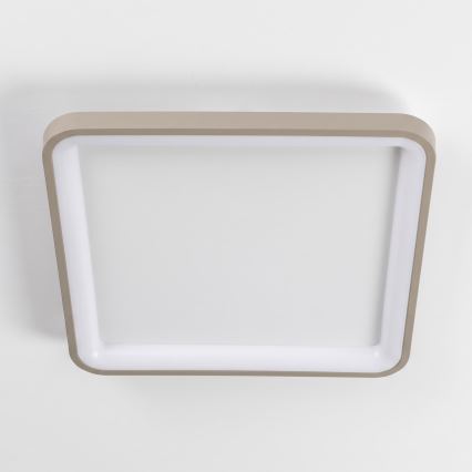 BRILAGI - LED Димируемо таванно осветително тяло FALCON SLIM LED/50W/230V 3000-6500K 50x50 cm бяло/бежово + дистанционно управление