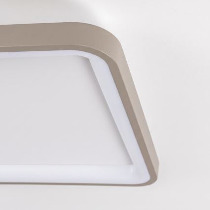 BRILAGI - LED Димируемо таванно осветително тяло FALCON SLIM LED/50W/230V 3000-6500K 50x50 cm бяло/бежово + дистанционно управление