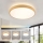 Brilagi - LED димируемо таванно осветително тяло GLASS POOL DOUBLE LED/48W/230V 3000-6000K 40 cm дървесен декор + дистанционно управление