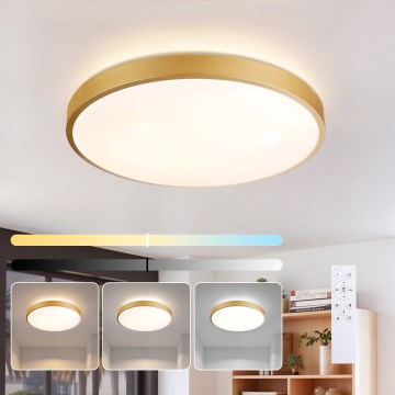 Brilagi - LED димируемо таванно осветително тяло GLASS POOL DOUBLE LED/60W/230V 3000-6000K 50 см златисто + дистанционно управление