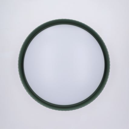 Brilagi - LED димируемо таванно осветително тяло LUCIA LED/48W/230V 3000-6500K Ø 41 см зелено + дистанционно управление