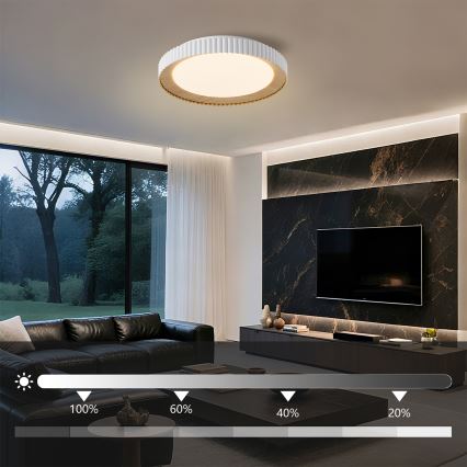 Brilagi - димируемо LED таванно осветително тяло NEXO LED/48W/230V 3000-6000K бяло Ø 43 см + дистанционно управление