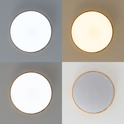 Brilagi - Димируемо таванно LED осветително тяло PINE LED/24W/230V, дървено, Ø 42 cm, 3000-6500K + дистанционно управление