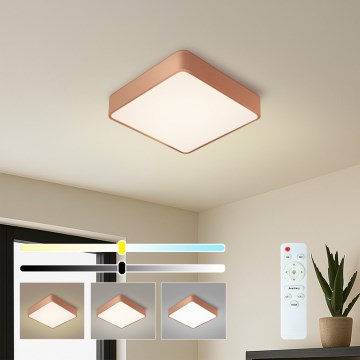 Brilagi - LED димируемо таванно осветително тяло POOL LED/36W/230V 3000-6000K 40x40 cm бронзов цвят + дистанционно управление