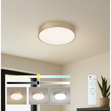 Brilagi - LED димируемо таванно осветително тяло POOL LED/36W/230V 3000-6000K Ø 30 см златисто + дистанционно управление