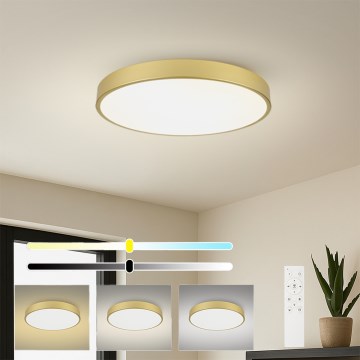 Brilagi - LED димируемо таванно осветително тяло POOL SMART LED/100W/230V 3000-6000K 80 cm златисто Wi‑Fi Tuya + дистанционно управление