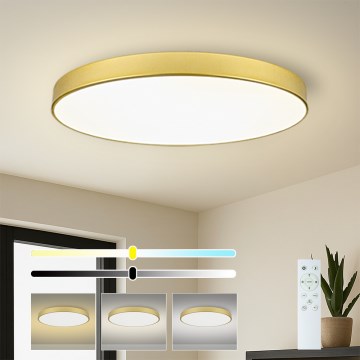 Brilagi - LED димируемо таванно осветително тяло POOL SMART LED/128W/230V 3000-6000K 100 cm златисто Wi-Fi Tuya + дистанционно управление