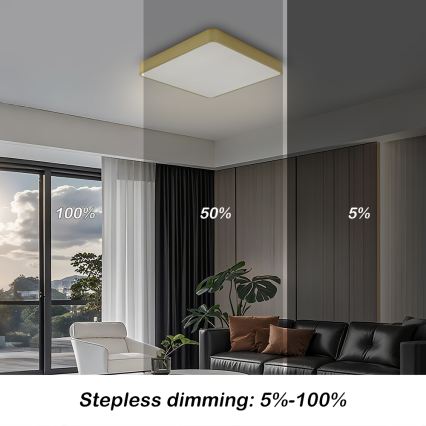 BRILAGI - Димируемо LED таванно осветително тяло POOL SQUARE LED/36W/230V 3000-6000K 40x40 cm златисто + дистанционно управление