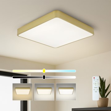 Brilagi - LED димируемо таванно осветително тяло POOL SQUARE LED/48W/230V 3000-6000K 50x50 см златно + дистанционно управление